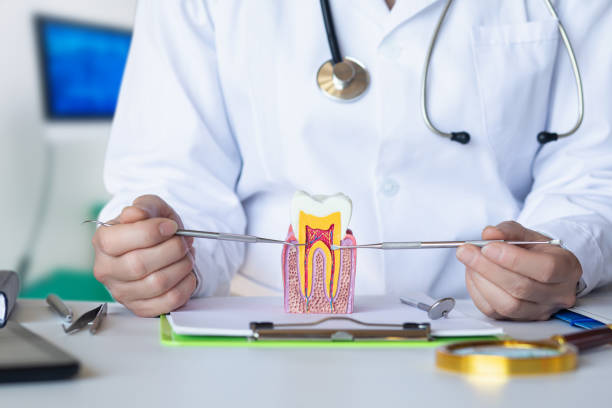 Best Emergency Root Canal Treatment in Wesley Hills, NY